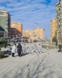 Apartment For Sale