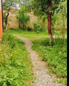 Kirayə verilir