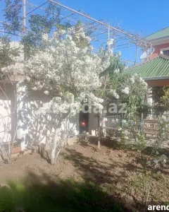 Həyət/Bağ Evi, Villa Kirayə verilir