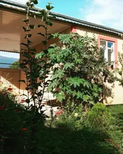Kirayə verilir