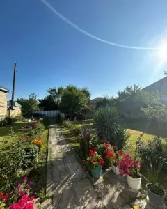 Torpaq