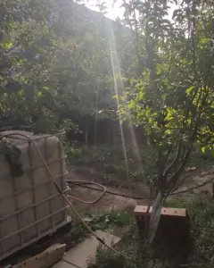 Həyət/Bağ Evi, Villa Satılır