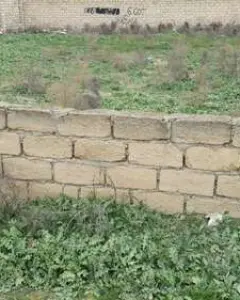 Torpaq Korgöz