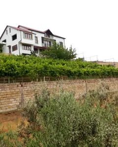 Satılır
