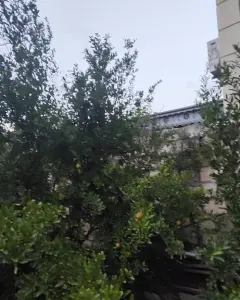 Torpaq sahəsi Satılır