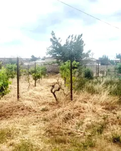 Torpaq sahəsi Satılır