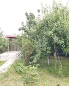 Həyət/Bağ Evi, Villa Kirayə verilir