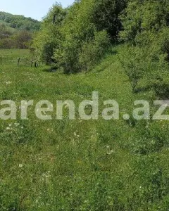 Torpaq sahəsi Satılır