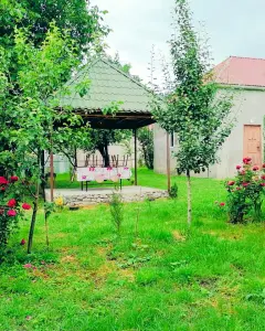 Həyət/Bağ Evi, Villa Kirayə verilir