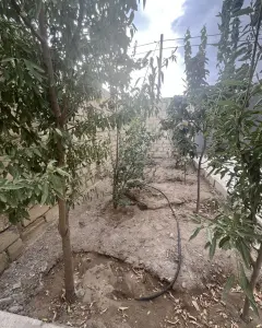 Həyət/Bağ Evi, Villa Satılır