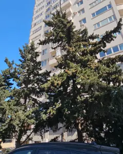 Mənzil Satılır
