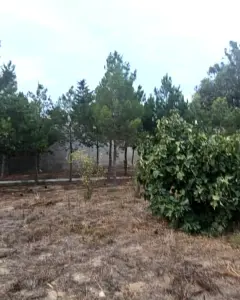 Torpaq sahəsi Satılır