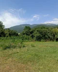 Torpaq sahəsi Satılır