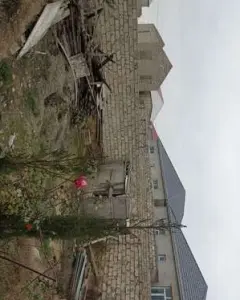 Həyət/Bağ Evi, Villa Satılır