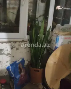 Mənzil Satılır