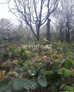 Torpaq sahəsi Satılır