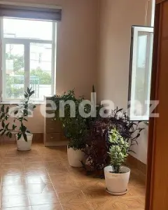 Həyət/Bağ Evi, Villa Kirayə verilir