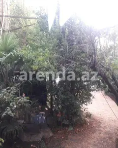 Mənzil Satılır