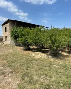 Torpaq sahəsi Satılır