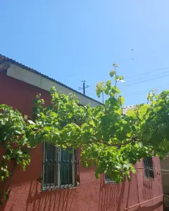 Həyət/Bağ Evi, Villa Satılır
