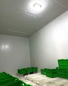 Digər Kommersiya Əmlakı Kirayə verilir