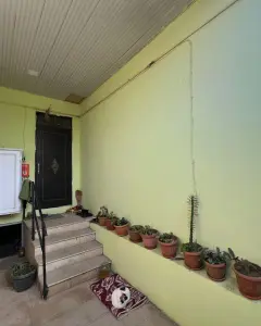 Дом с садом, Вилла Продаётся