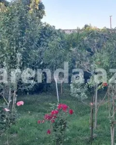 Дом с садом, Вилла Продаётся