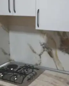 Квартира Сдаётся