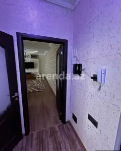 Квартира Сдаётся