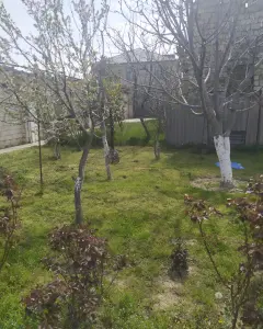 Дом с садом, Вилла Продаётся