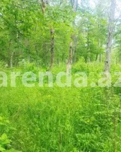 Torpaq sahəsi Satılır