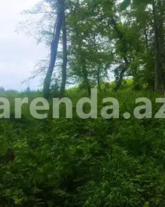 Torpaq sahəsi Satılır