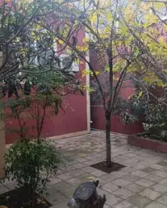 Дом с садом, Вилла Продаётся