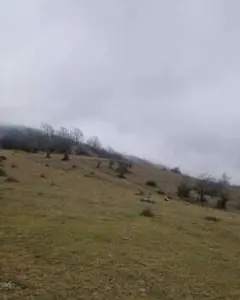 Земельный Участок Продаётся