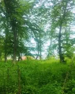 Земельный Участок Продаётся