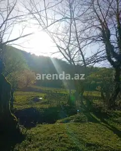 Torpaq sahəsi Satılır