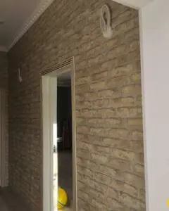 Həyət/Bağ Evi, Villa Satılır