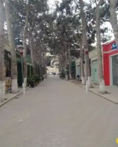 Digər Kommersiya Əmlakı Kirayə verilir