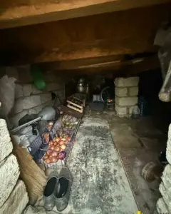 Həyət/Bağ Evi, Villa Satılır