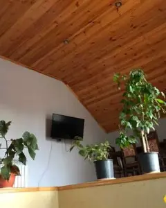 Həyət/Bağ Evi, Villa Satılır