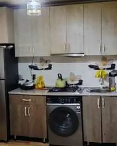 Həyət/Bağ Evi, Villa Kirayə verilir