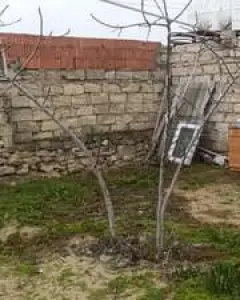 Həyət/Bağ Evi, Villa Satılır