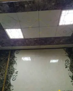 Həyət/Bağ Evi, Villa Satılır