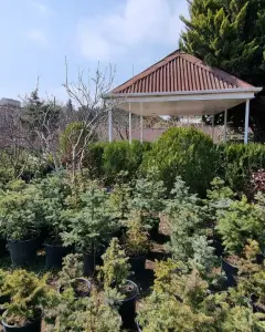 Torpaq sahəsi Satılır