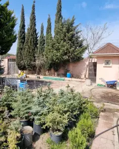 Torpaq sahəsi Satılır