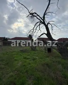 Torpaq sahəsi Satılır