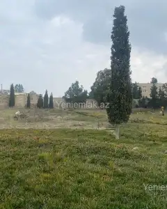 Torpaq sahəsi Satılır