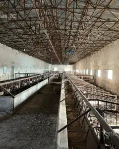 Digər Kommersiya Əmlakı Satılır