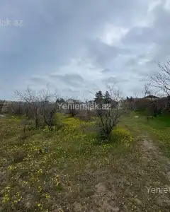 Torpaq sahəsi Satılır