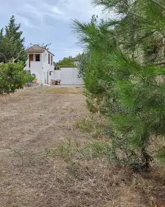 Torpaq sahəsi Satılır